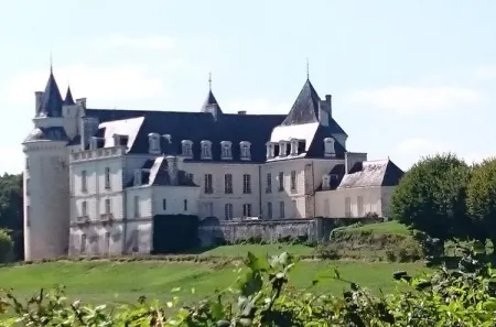 Camping - La Chapelle-Blanche-Saint-Martin - Grand Centre - Domaine de la Grangée
