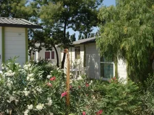 Camping - Argelès-sur-Mer - Languedoc-Roussillon - Domaine de la Pinède Enchantée