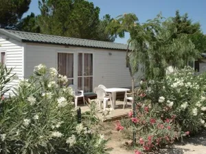 Camping - Argelès-sur-Mer - Languedoc-Roussillon - Domaine de la Pinède Enchantée