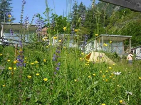Camping - Castellane - Provence-Alpes-Côte d'Azur - Domaine de la Porte des Gorges du Verdon