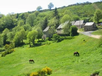 Camping - Neuvéglise - Auvergne - Domaine de la Taillade