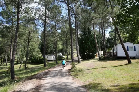 Camping - Monfaucon - Aquitaine - Domaine de l'Etang de Bazange