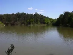 Camping - Monfaucon - Aquitaine - Domaine de l'Etang de Bazange