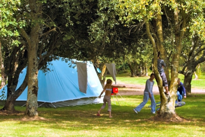 Camping - Plougasnou - Bretagne - Domaine de Mesqueau - Image #4