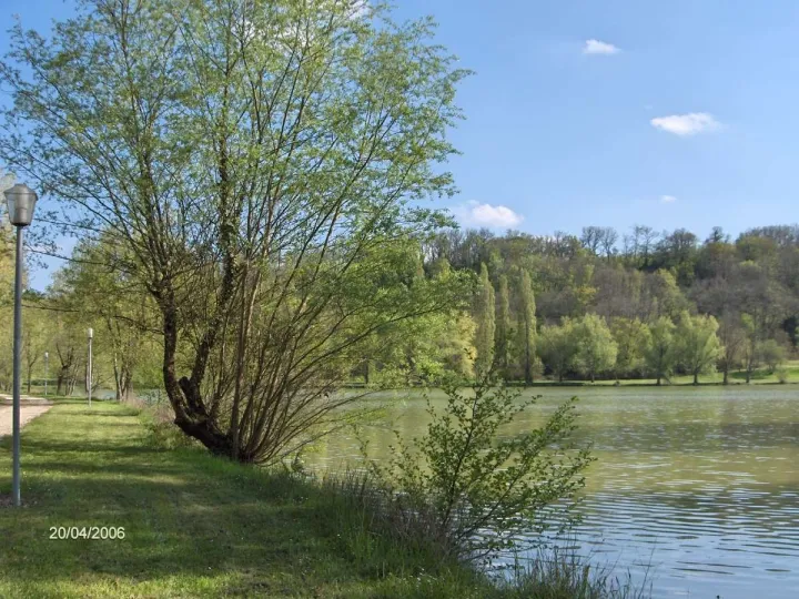 Camping - Prayssas - Aquitaine - Domaine de Néguenou