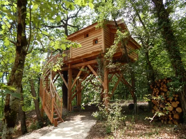Camping - Clairac - Aquitaine - Domaine de Pech et Lafon