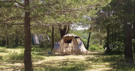 Camping - Saint-Laurent-du-Verdon - Provence-Alpes-Côte d'Azur - Domaine d'Enriou