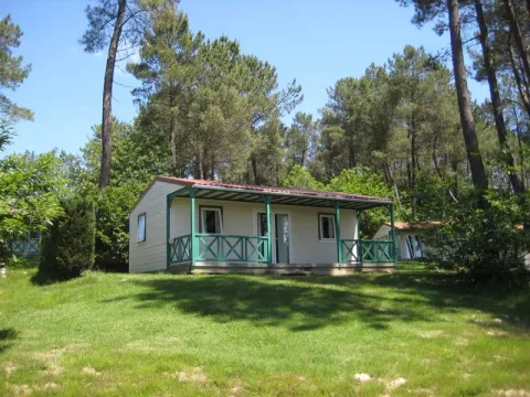 Camping - Tamniès - Aquitaine - Domaine des Grands Pins