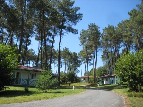 Camping - Tamniès - Aquitaine - Domaine des Grands Pins