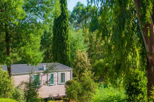Camping - Grimaud - Provence-Alpes-Côte d'Azur - Domaine des Naïades