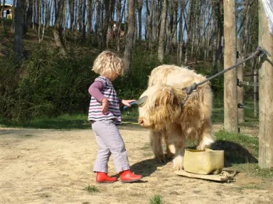 Camping - Estipouy - Midi-Pyrénées - Domaine d'Escapa