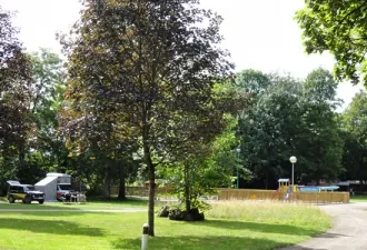 Camping - Louvemont - Champagne-Ardennes - Domaine du Buisson
