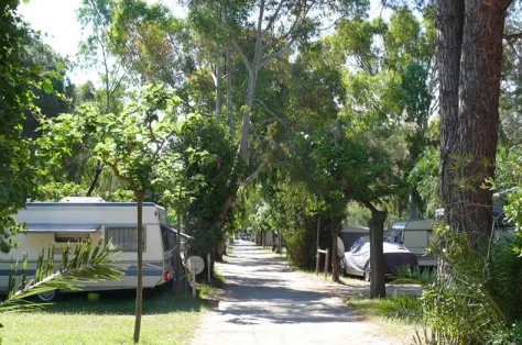 Camping - Hyères - Provence-Alpes-Côte d'Azur - Domaine du Ceinturon III