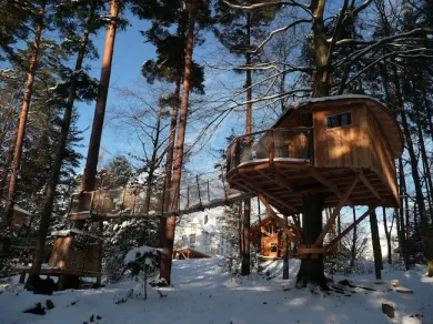 Camping - Aubure - Alsace - Domaine Hauts de Ribeauvillé