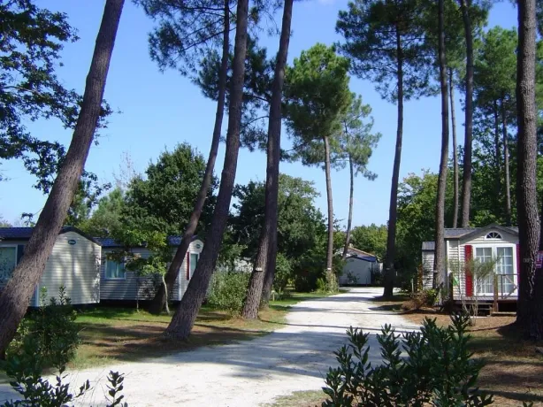 Camping - Hourtin - Aquitaine - Domaine La Résinière