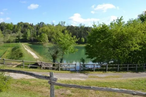 Camping - Gourdon - Midi-Pyrénées - Domaine le Quercy