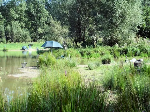 Camping - Frévent - Nord-Pas de Calais - Domaine le Val du Ternois