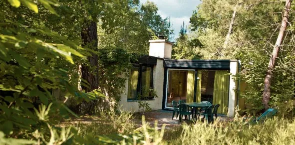 Camping - Chaumont-sur-Tharonne - Grand Centre - Domaine Les Hauts de Bruyères