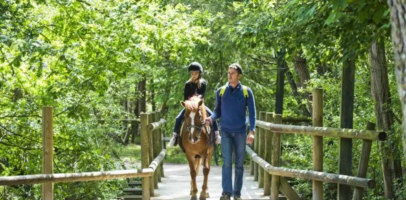 Camping - Chaumont-sur-Tharonne - Grand Centre - Domaine Les Hauts de Bruyères
