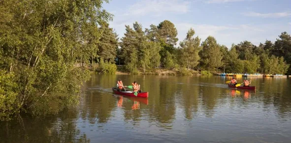 Camping - Chaumont-sur-Tharonne - Grand Centre - Domaine Les Hauts de Bruyères