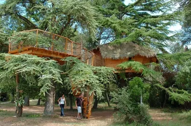 Camping - Castries - Languedoc-Roussillon - Domaine Saint Jean de l'Arbousier