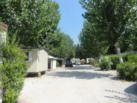 Camping - Antibes - Provence-Alpes-Côte d'Azur - Douce France