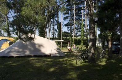 Camping - Celles - Poitou-Charentes - du Pas des Biches