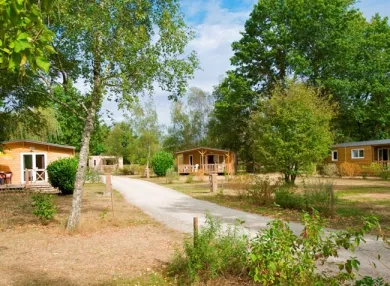 Camping - La Guyonnière - Pays de Loire - Camping du Lac de la Chausselière