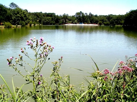 Camping - Saint-Amand-de-Vergt - Aquitaine - Camping du Lac de Neufont