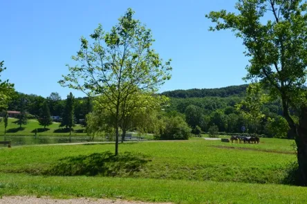 Camping - Parisot - Midi-Pyrénées - Camping du Lac de Parisot