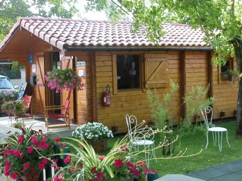 Camping - Sturzelbronn - Lorraine - Camping du Muhlenbach