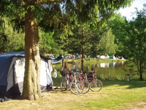 Camping - Sturzelbronn - Lorraine - Camping du Muhlenbach