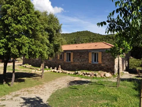 Camping - Moltifao - Corse - E Canicce