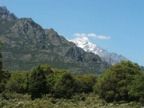Camping - Moltifao - Corse - E Canicce