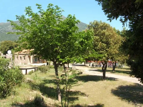 Camping - Moltifao - Corse - E Canicce