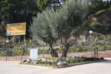 Camping - Arenys de Mar - Costa Brava - El Carlitos