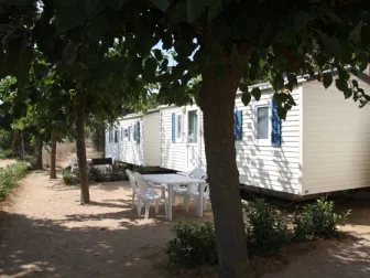 Camping - Arenys de Mar - Costa Brava - El Carlitos