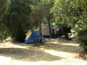 Camping - Arenys de Mar - Costa Brava - El Carlitos