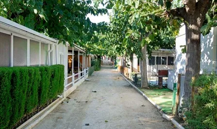 Camping - Arenys de Mar - Costa Brava - El Toro Azul