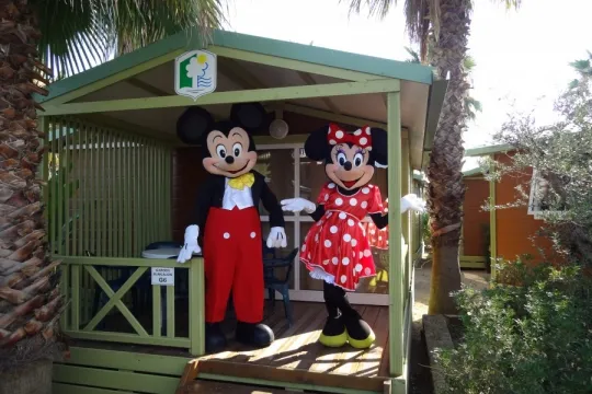Camping - Pineda de Mar - Costa Brava - Enmar