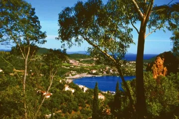 Camping - Agay - Provence-Alpes-Côte d'Azur - Esterel Caravaning
