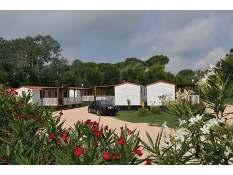 Camping - Caorle - Vénétie - Falconera