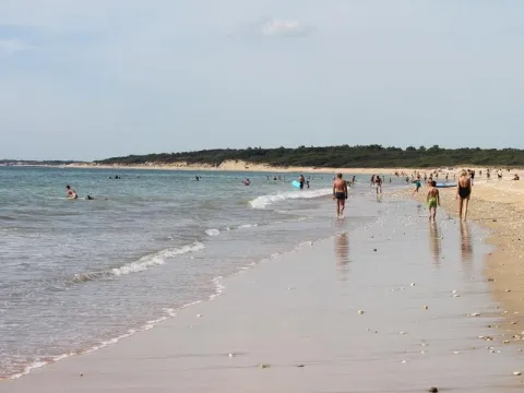 Camping - Saint-Pierre-d'Oléron - Poitou-Charentes - Fleur d'Oléron