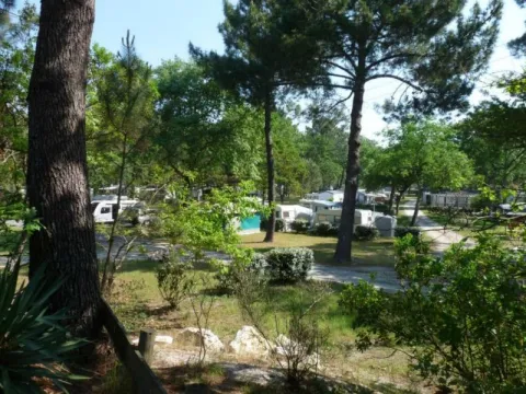 Camping - Andernos-les-Bains - Aquitaine - Fontaine Vieille