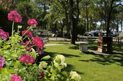 Camping - Andernos-les-Bains - Aquitaine - Fontaine Vieille
