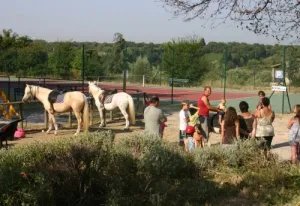 Camping - Châteauneuf-de-Gadagne - Provence-Alpes-Côte d'Azur - Fontisson