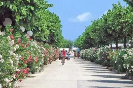 Camping - Fermo - Marches - Gemma