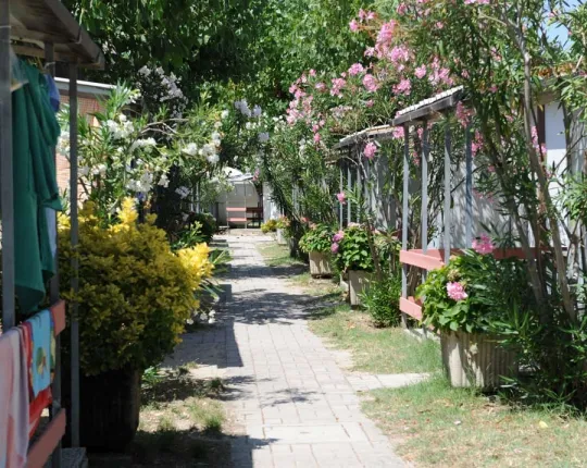 Camping - Fermo - Marches - Gemma