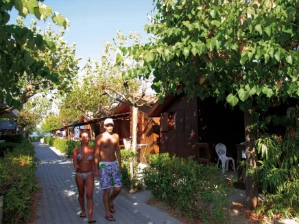 Camping - Fermo - Marches - Girasole