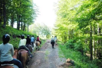 Camping - Saint-Jacques-d'Ambur - Auvergne - Hameau de chalets de la Chazotte